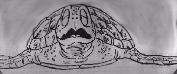 La Tortuga amb cara d'espantada