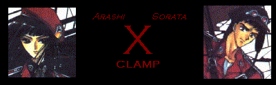 X-Arashi and Sorata