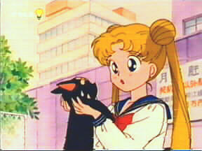 Usagi