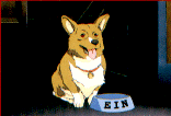 Ein
