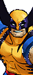 Wolverine