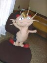 My stuffed Meowth