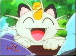 Meow!