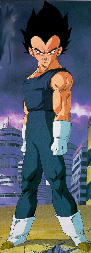 vegeta15.jpg