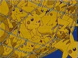 Lots and lots of Pikachus!